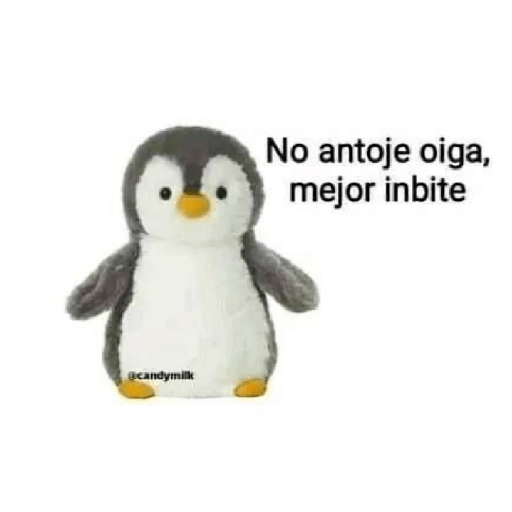 Memes 6
