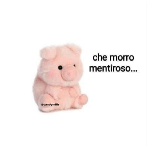 Memes 5