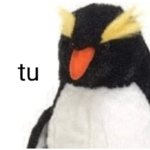 Memes 28
