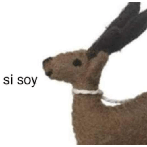 Memes 29