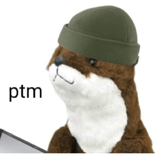 Memes 30