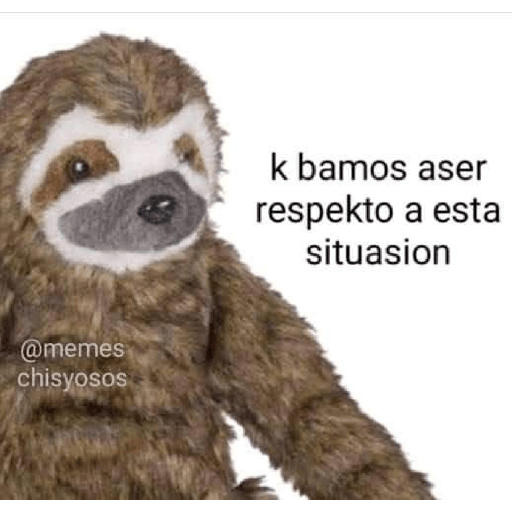 Memes 13