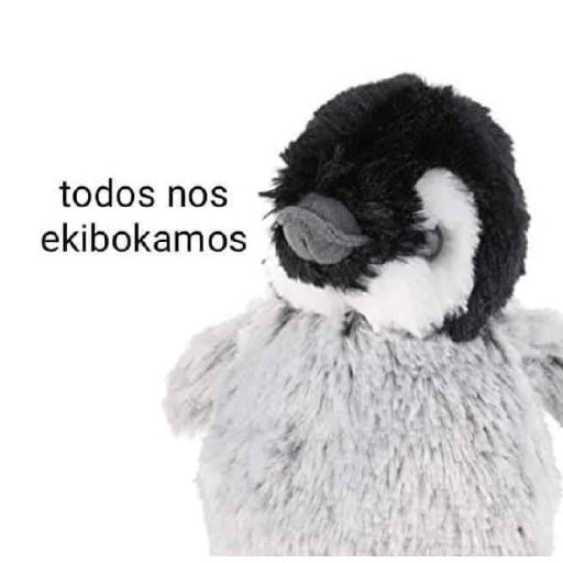 Memes 14