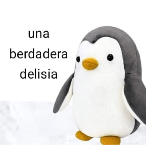 Memes 17