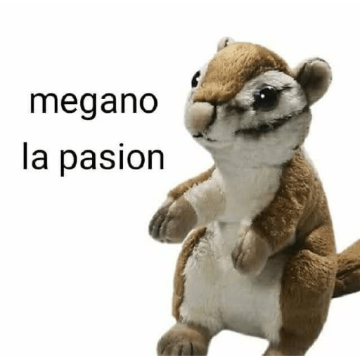 Memes 18