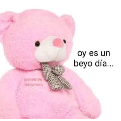 Memes 19