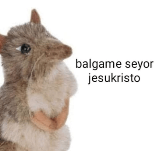 Memes 23