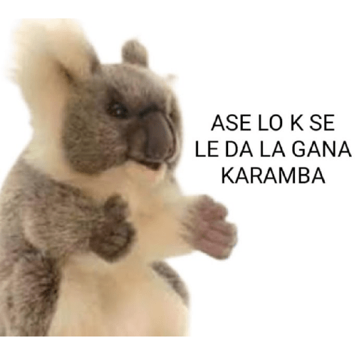 Memes 24