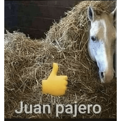NO DIGAS MAMADAS MERI YEIN 2
