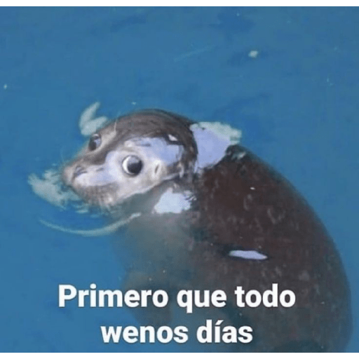 NO DIGAS MAMADAS MERI YEIN 12
