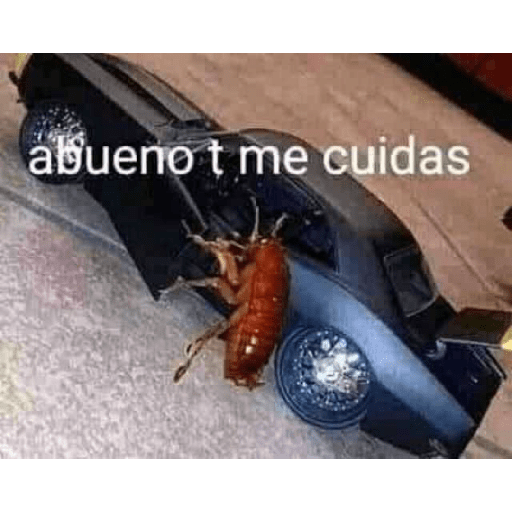 NO DIGAS MAMADAS MERI YEIN 15