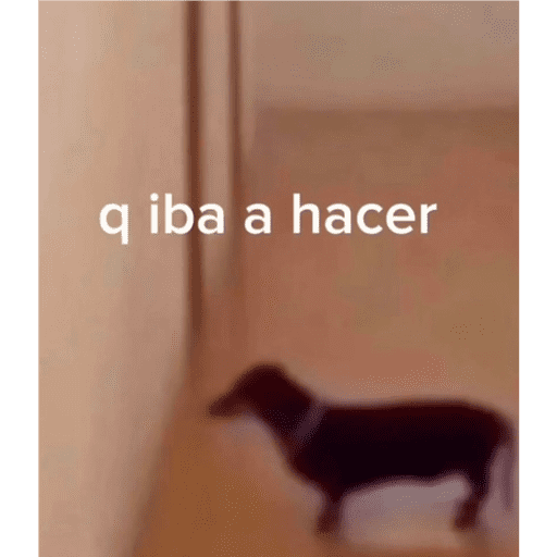 12handal 1