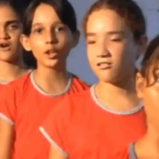 Animadas  8