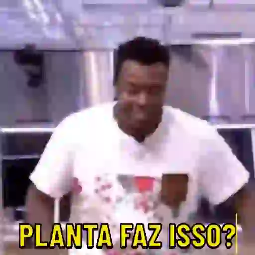 Animadas  27