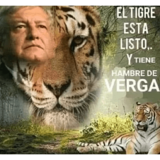 Tu mamá 13