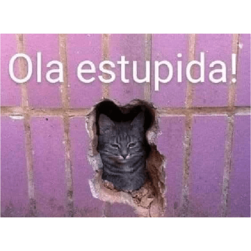 Pal grupo 4