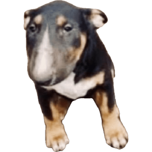 Sticker Image