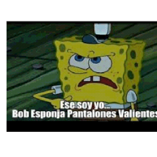 Visto 8