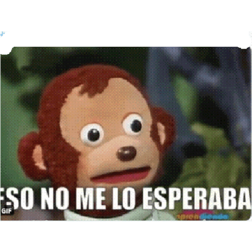 Visto 23