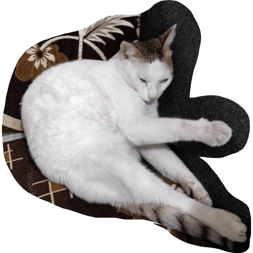 Telegram cat 8
