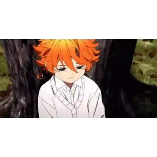 The promised Neverland