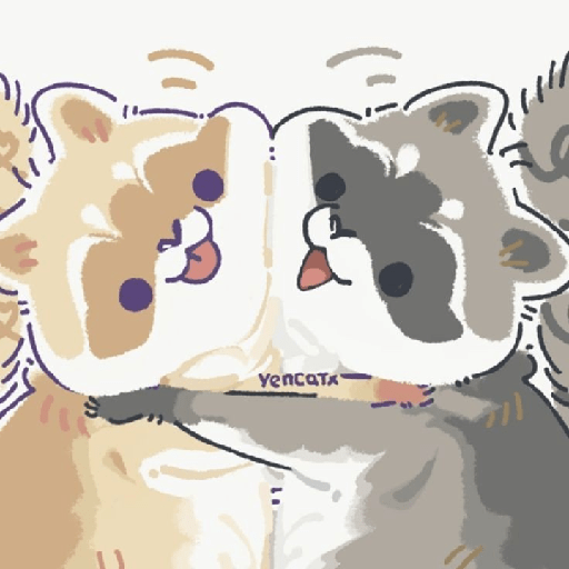Mapaches🦝 10