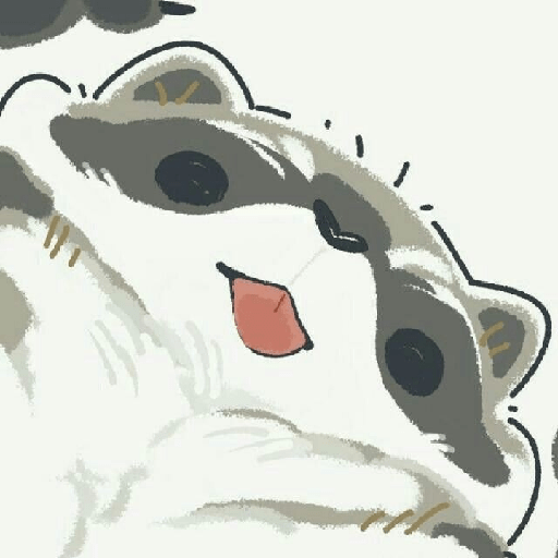 Mapaches🦝 16