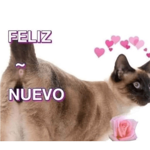 Sticker 21