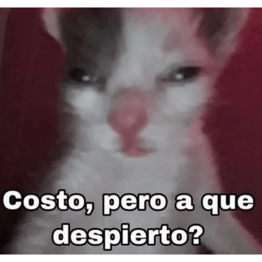 Mis pegatinas
