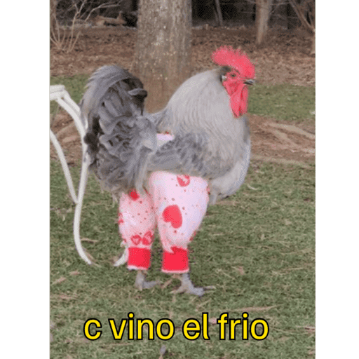 Sticker 10