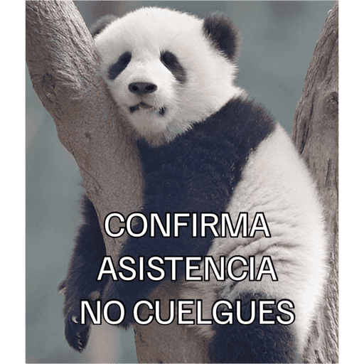Sticker 17