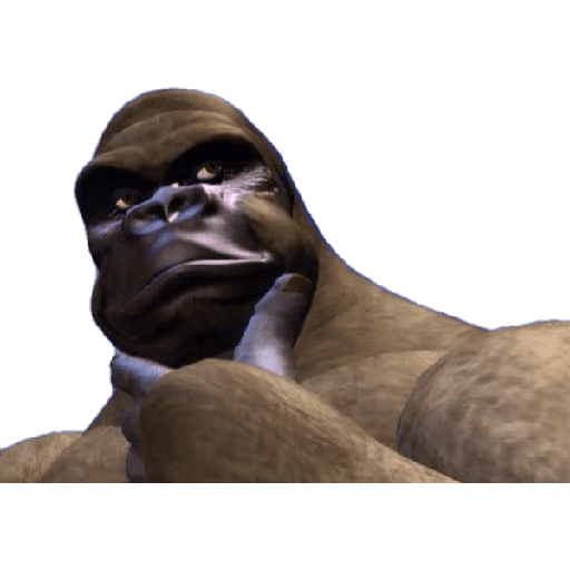 Mondongo 25