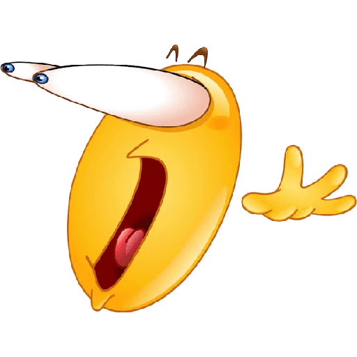 Mondongo 5