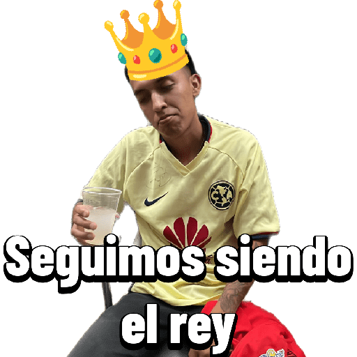 Nuevo4 15