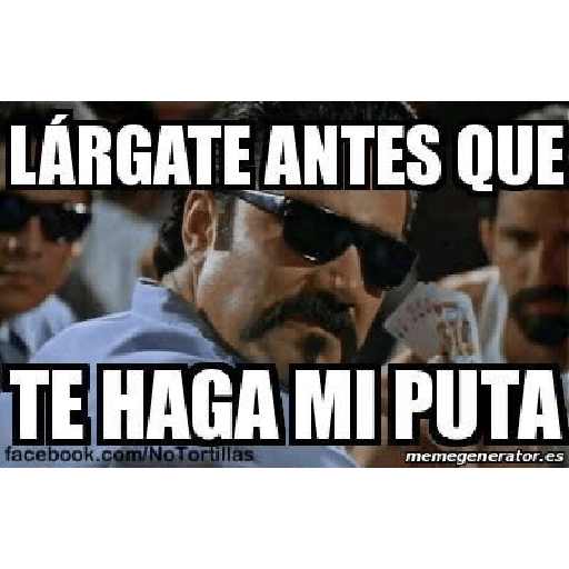 Nuevo4 7