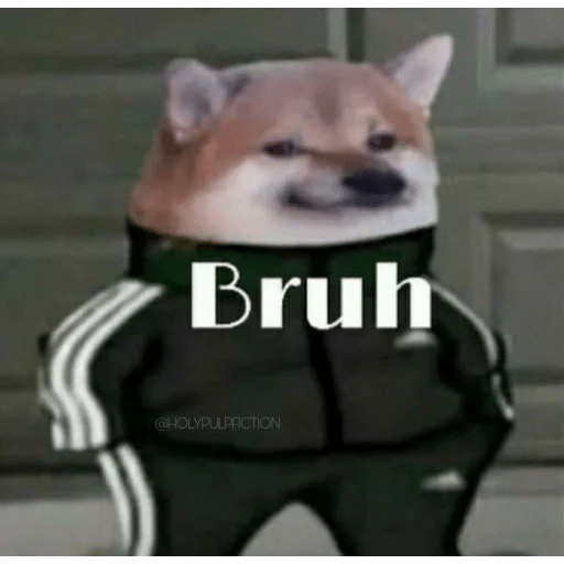 Cheems2.exe @sumit 30