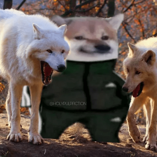 Cheems2.exe @sumit 7