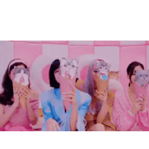 Black pink 11
