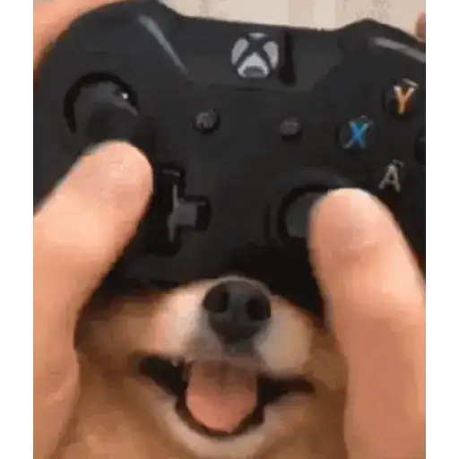 Games Nintendo 5