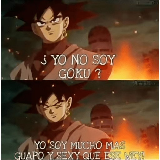 Dragón Ball 30