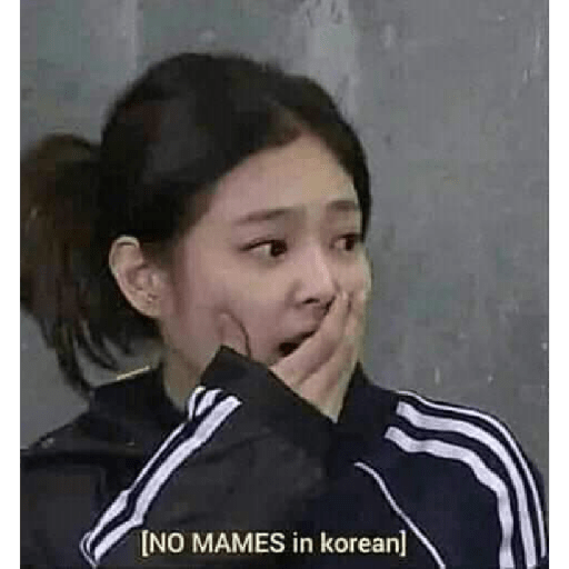 Memes de Blackpink en español2 20