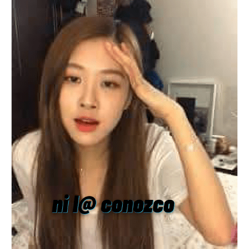 Memes de Blackpink en español2 3