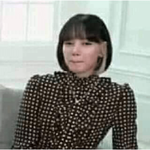 Memes de Blackpink en español2 9