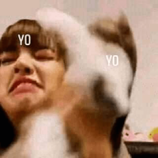 Memes de Blackpink en español2 8