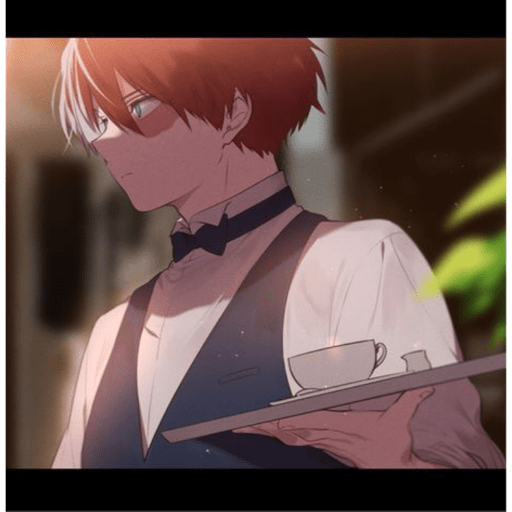 Todoroki  14