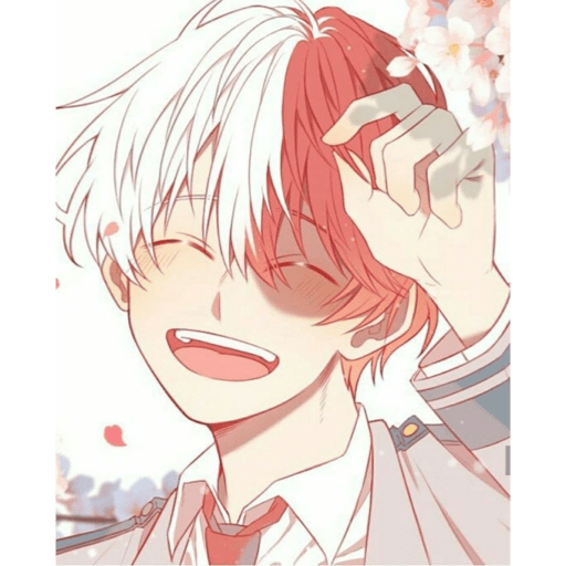 Todoroki  5