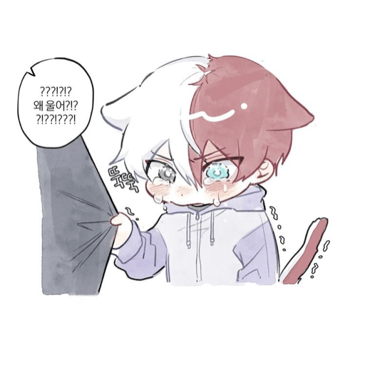 Todoroki  23