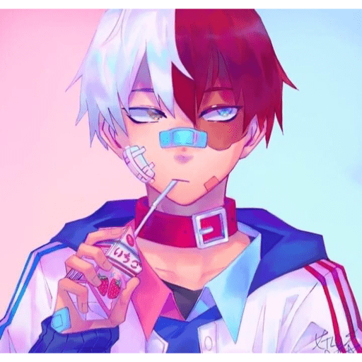 Todoroki  19