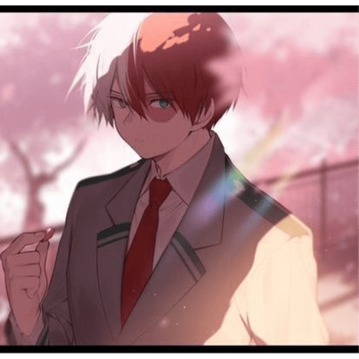 Todoroki  3