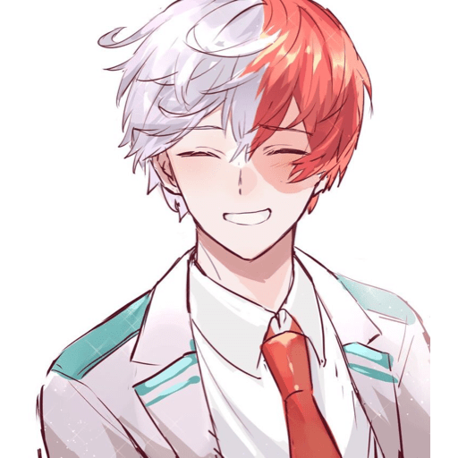 Todoroki  6